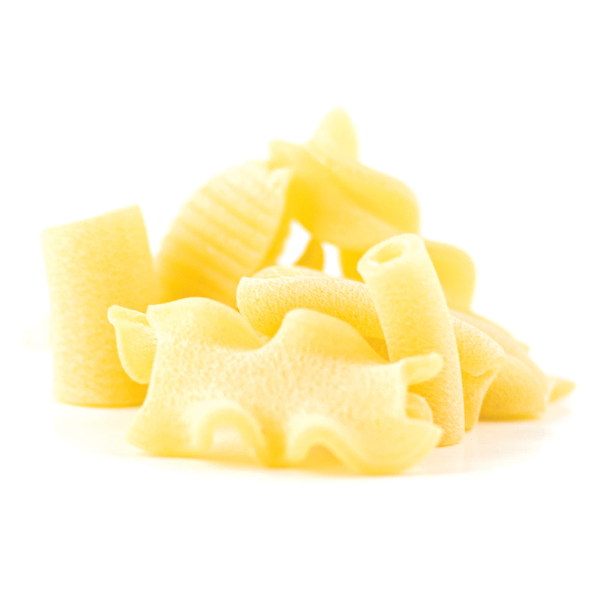 Offerta 4 Pack Pasta Corta